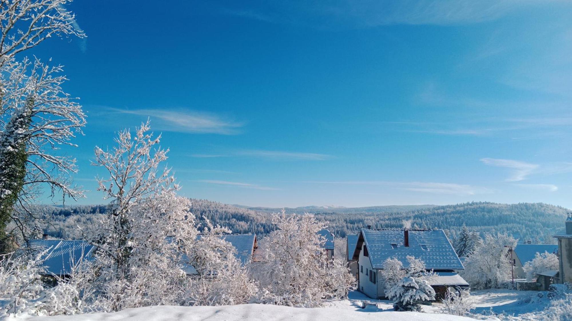 Gite Des Roches La Chaux-du-Dombief Luaran gambar